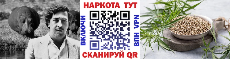 Как найти наркотики Шатура кракен онион  Галлюциногенные грибы  Гашиш  Кокаин  APVP  Меф  АМФ 
