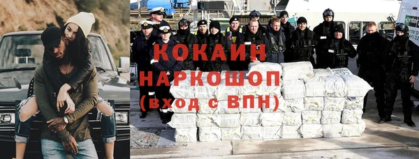 хмурый Пересвет