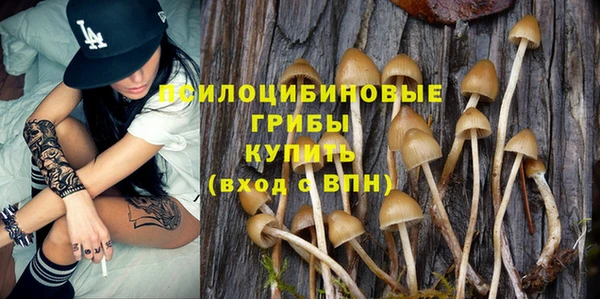 первитин Лиски