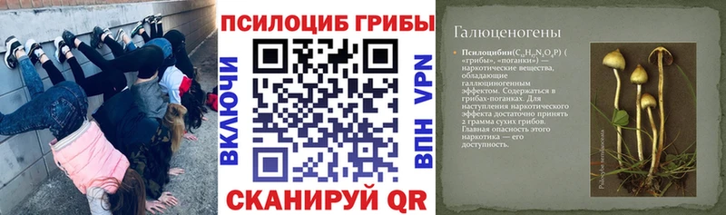 Галлюциногенные грибы прущие грибы Шатура